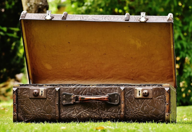 Suitcase Planter